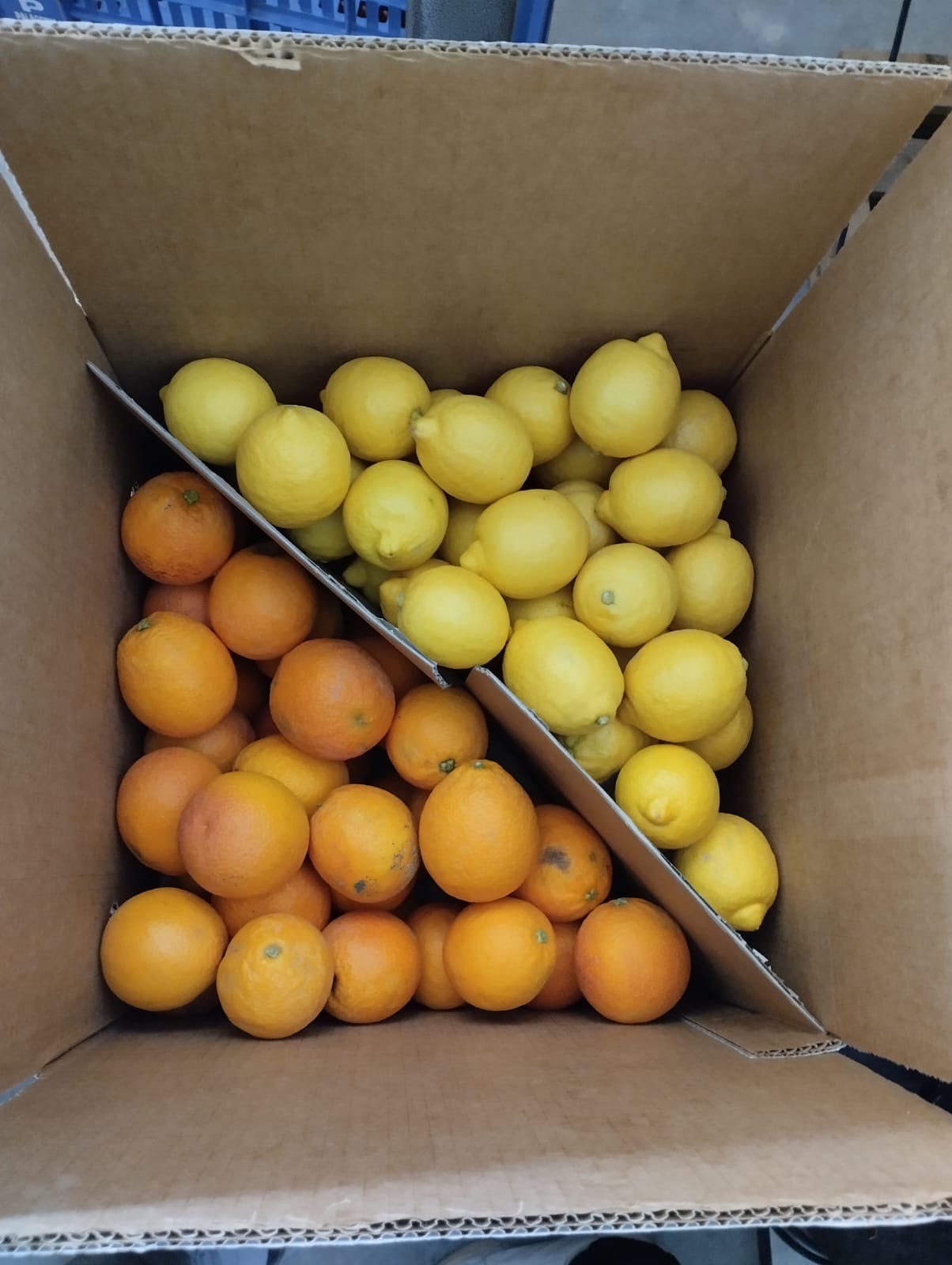 Sicilian Citrus Fruits mix box (Max)
