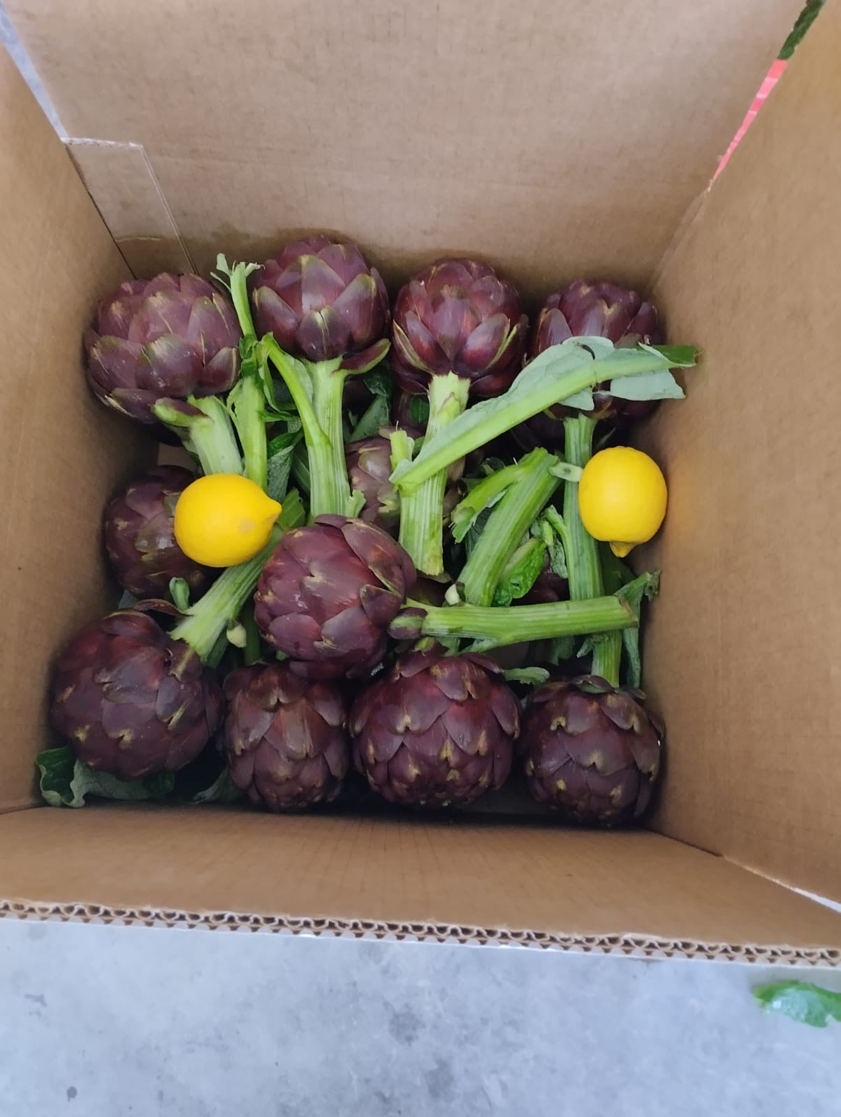 Sicilian Freshness mix box (Max)