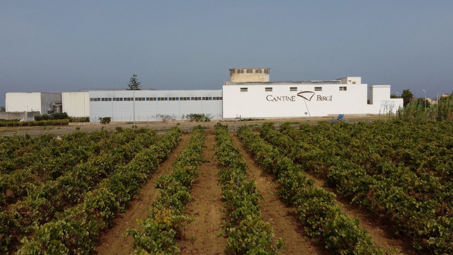 Liburna – Pinot Grigio Lucido IGP