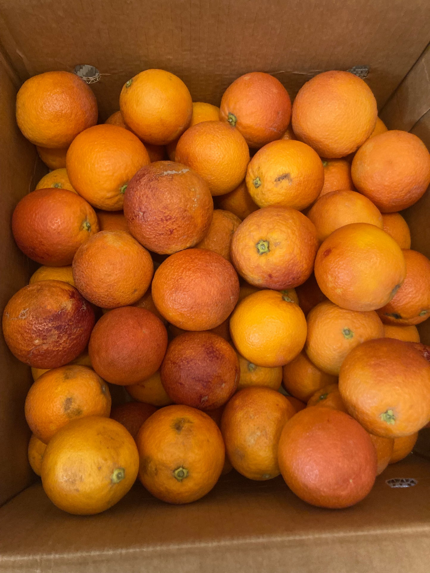 Sicilian oranges "Tarocco"