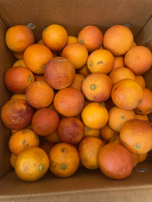 Sicilian oranges "Tarocco"
