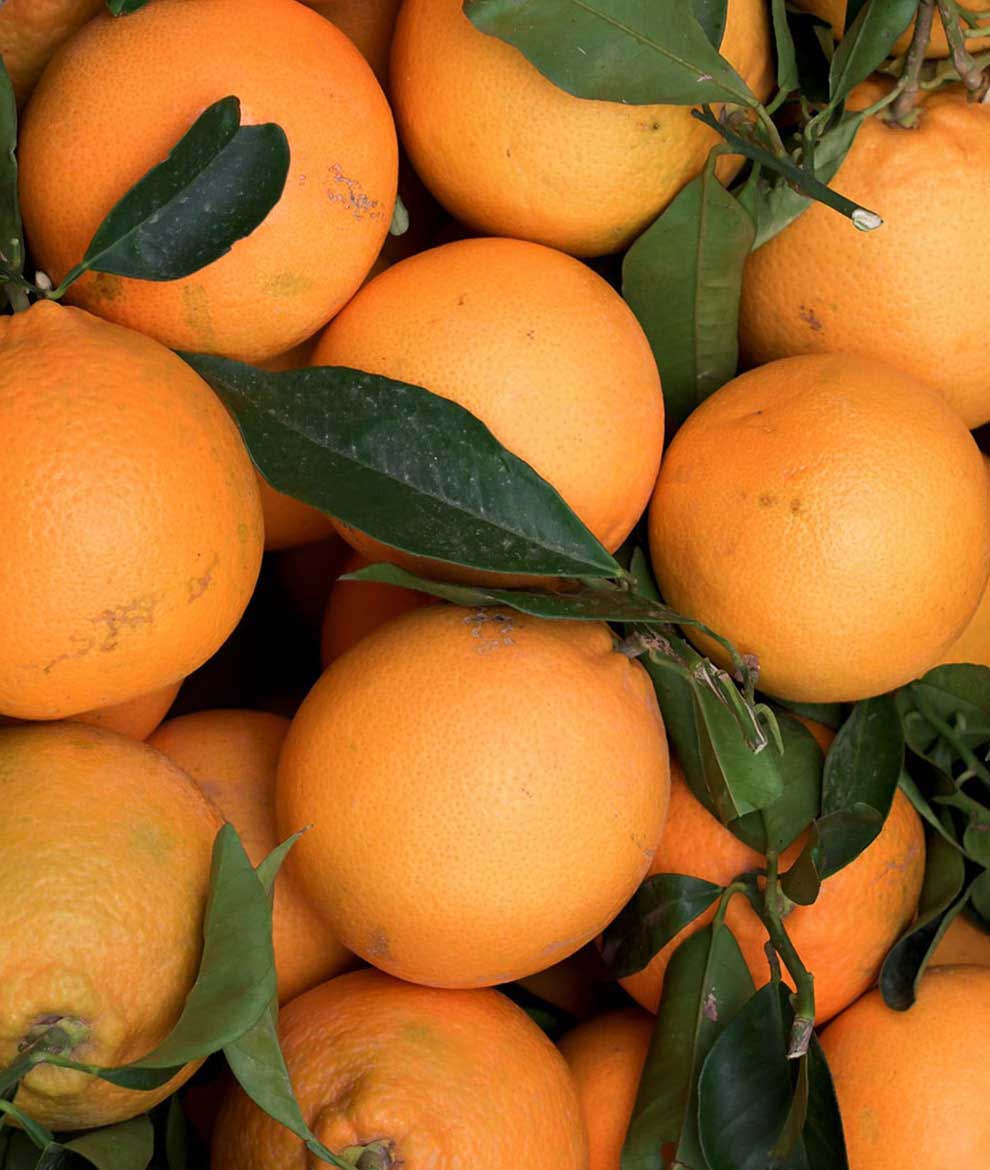 Sicilian Citrus Fruits mix box (Max)