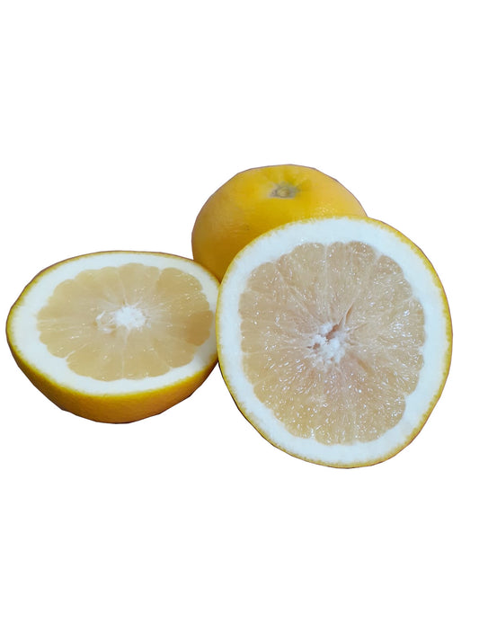 Sicilian Yellow Grapefruit