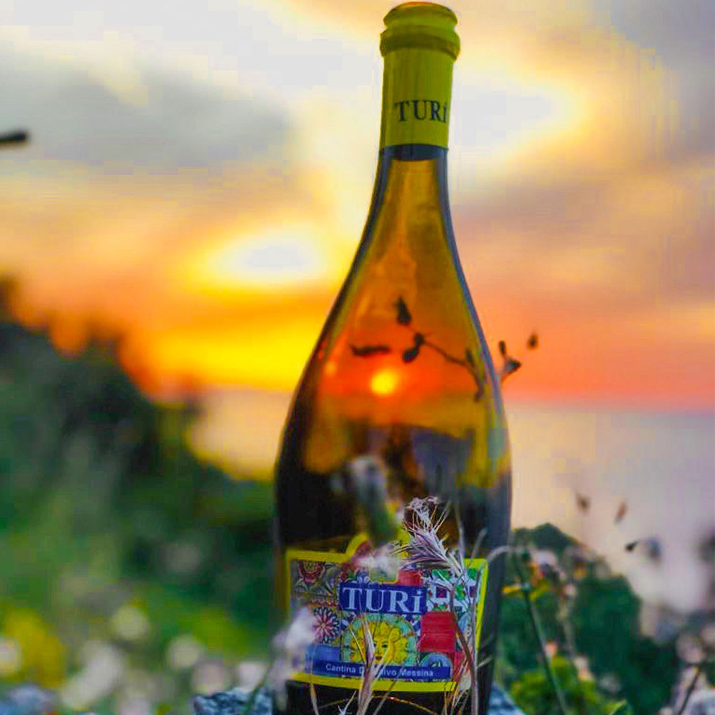 Turi White Sparkling