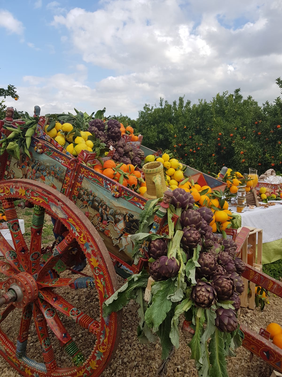 Sicilian citrus fruits