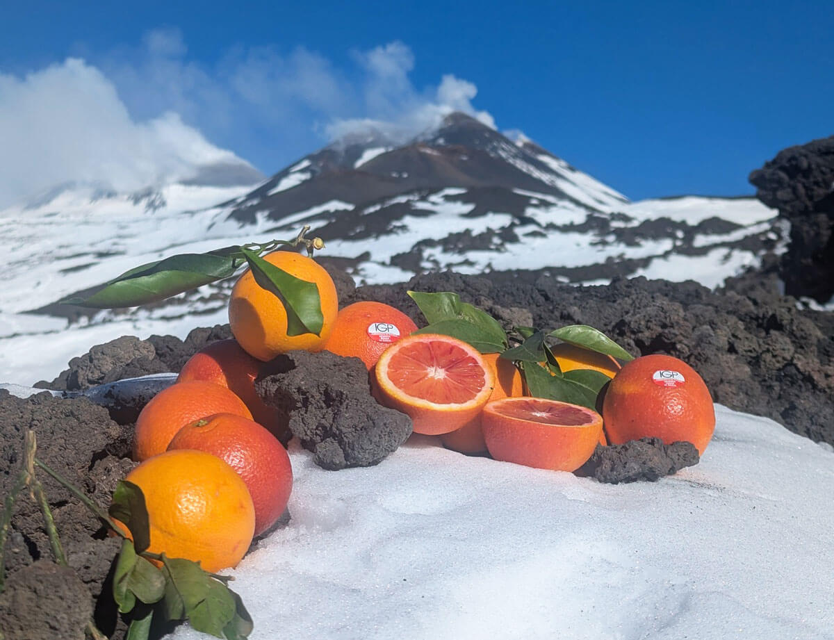 Sicilianske "Tarocco" appelsiner