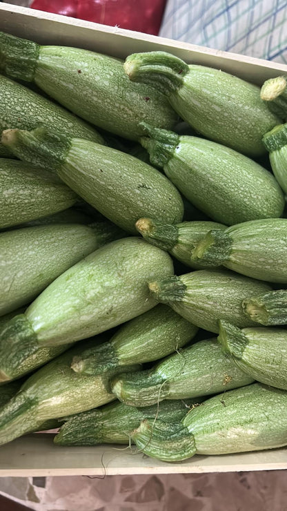 Light-Green Zucchini 1 kg