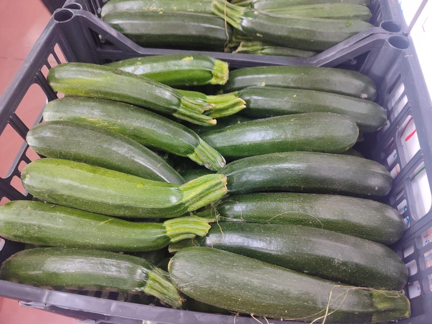 Light-Green Zucchini 1 kg