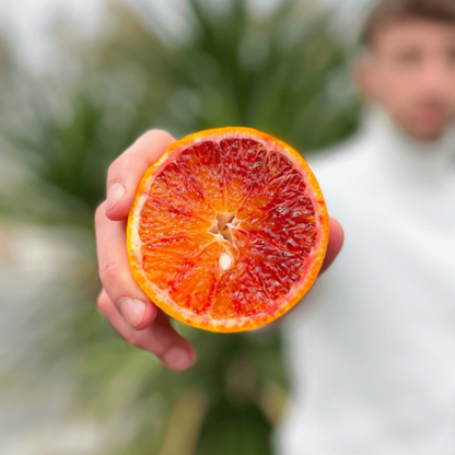 Sicilian Oranges "Tarocco"