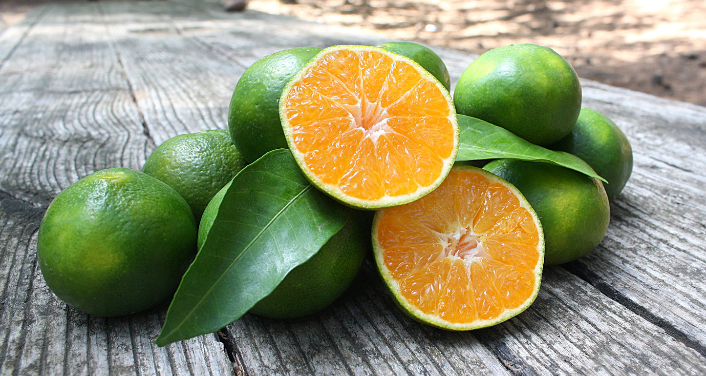 Green Mandarin